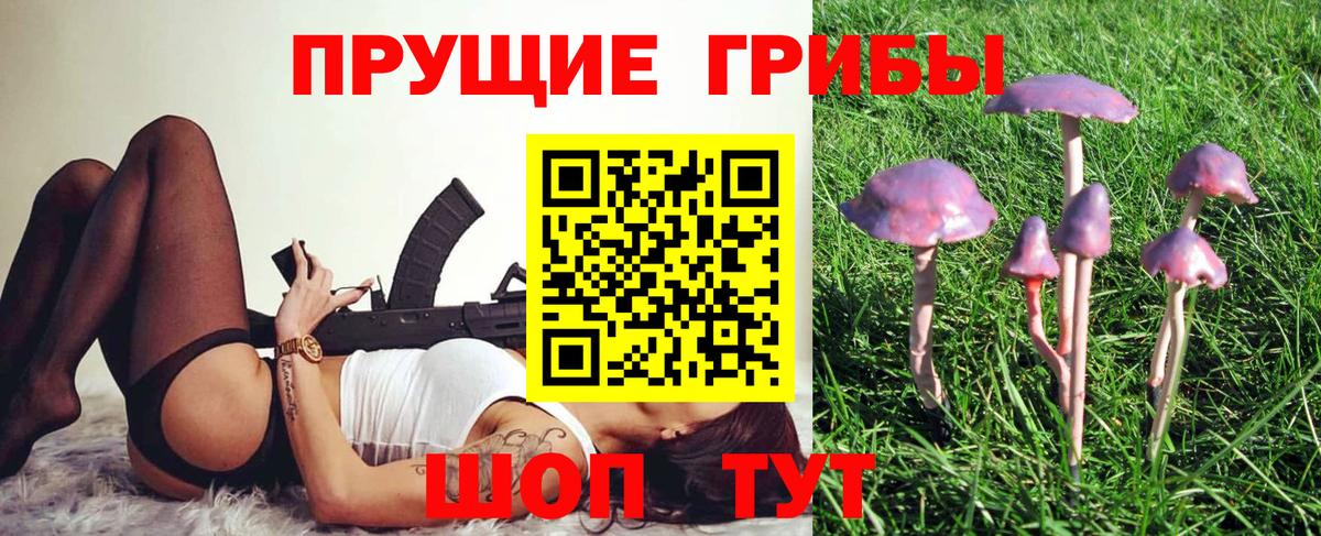Петрозаводск  Псилоцибиновые грибы Magic Shrooms  Вход с VPN 