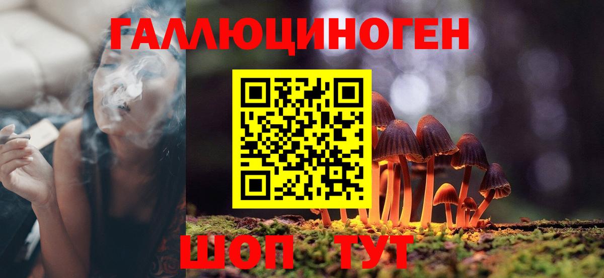 A-PVP Петрозаводск
